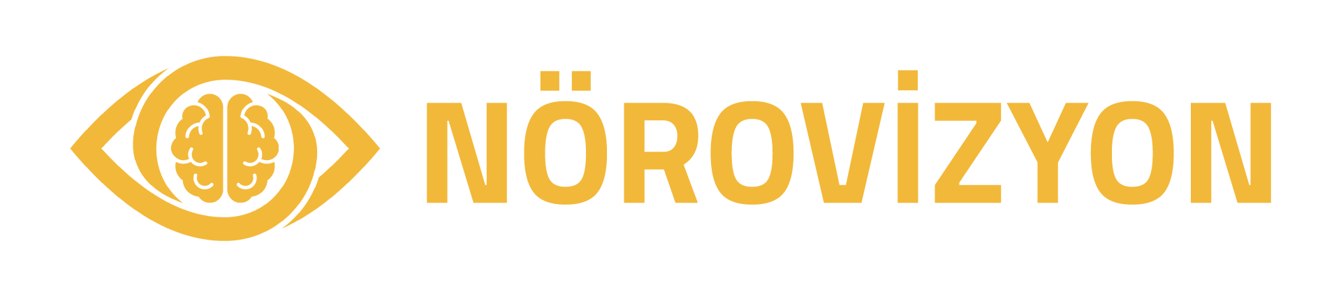 NoroVizyon Logo